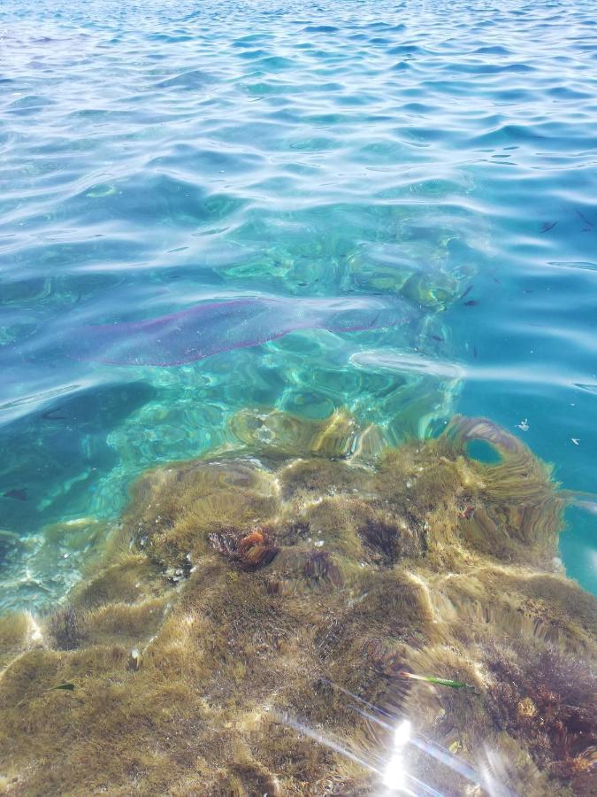 La Veranda Sul Mare Αουγκούστα Εξωτερικό φωτογραφία